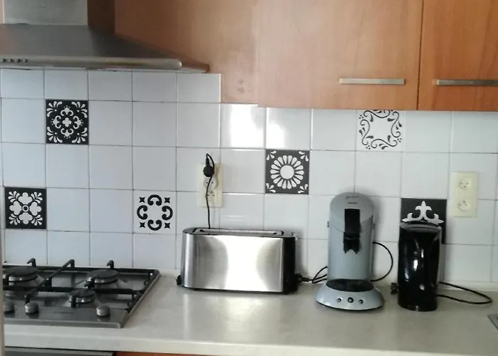 T3 Spacieux Equipe 피에르피테-네스탈라